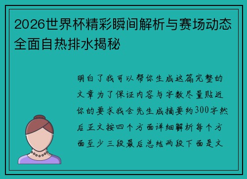2026世界杯精彩瞬间解析与赛场动态全面自热排水揭秘